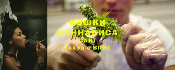 шишки Балабаново