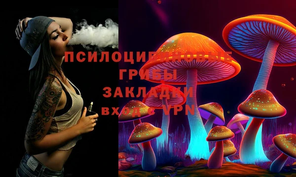 шишки Балабаново