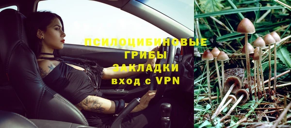 трава Баксан
