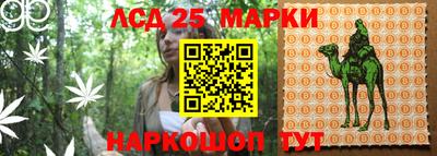 индика Берёзовский