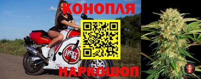 индика Беслан