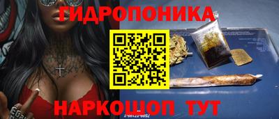 индика Берёзовский